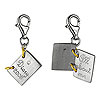 ������ �������� DT087
